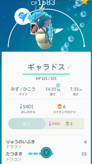 1607261.jpg