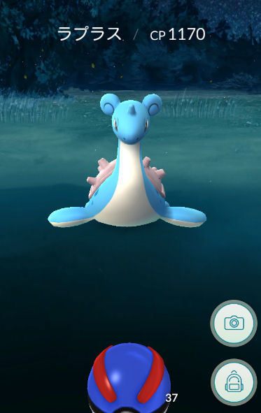 1607265.jpg
